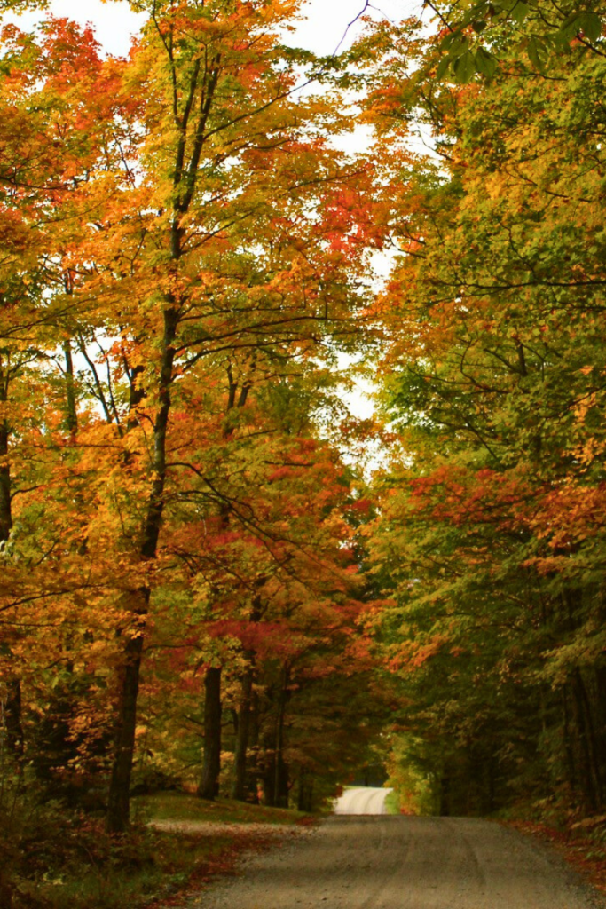 Vermont Fall Scene